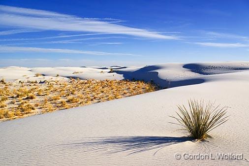 White Sands_32017.jpg - Photographed at the White Sands National Monument near Alamogordo, New Mexico, USA.